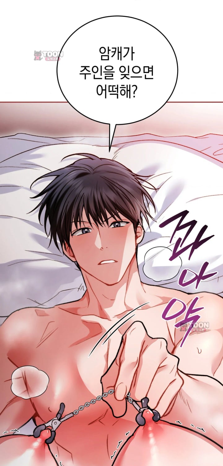 Please Shove It Into the Basket Raw Chapter 13 - Page 42