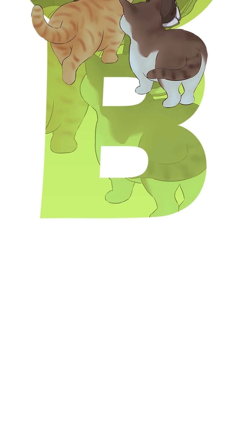 God of Blackfield Chapter 256 - Page 11