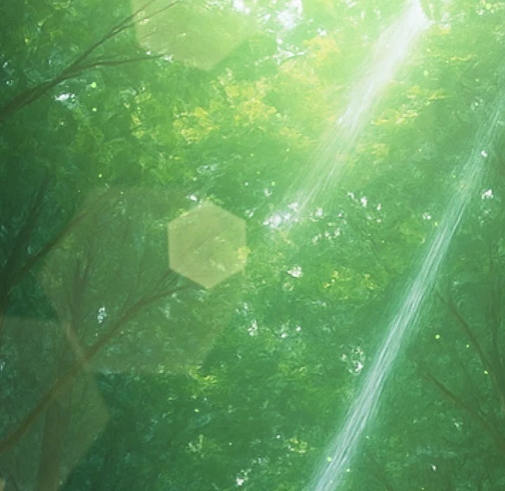 My High School Bully Chapter 266 - Page 42