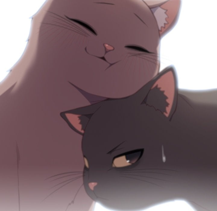 The Love Meowtchmaker Chapter 46 - Page 43