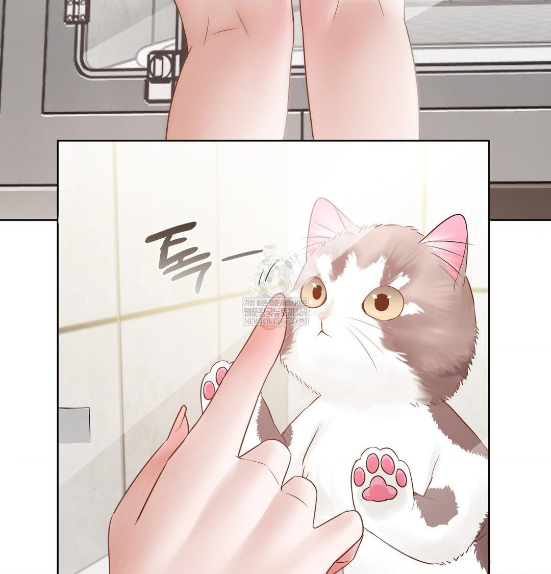 She Recommends a Harem Raw Chapter 33 - Page 41