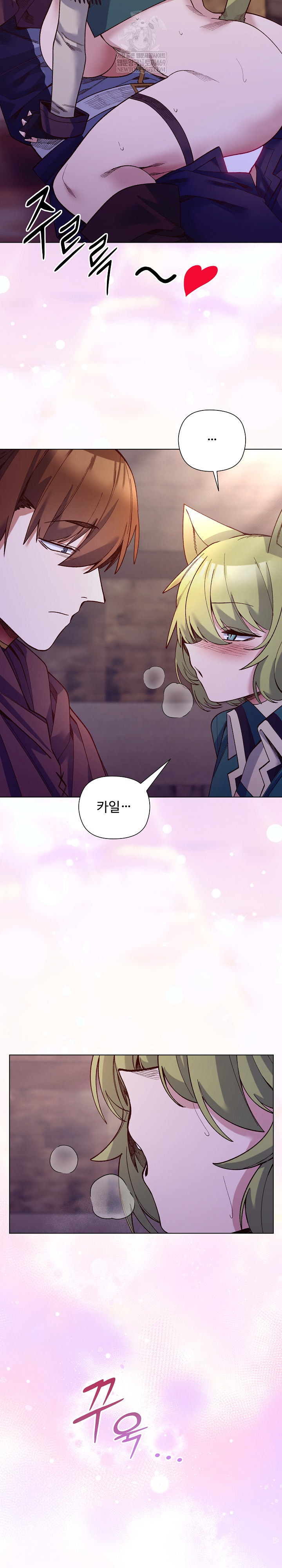 I Will Protect the Lady Raw Chapter 33 - Page 19