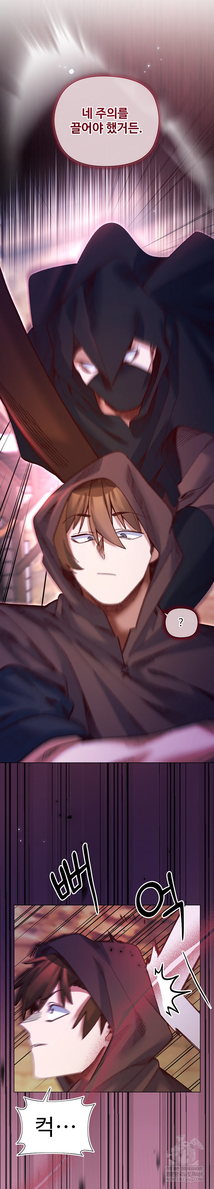 I Will Protect the Lady Raw Chapter 36 - Page 27