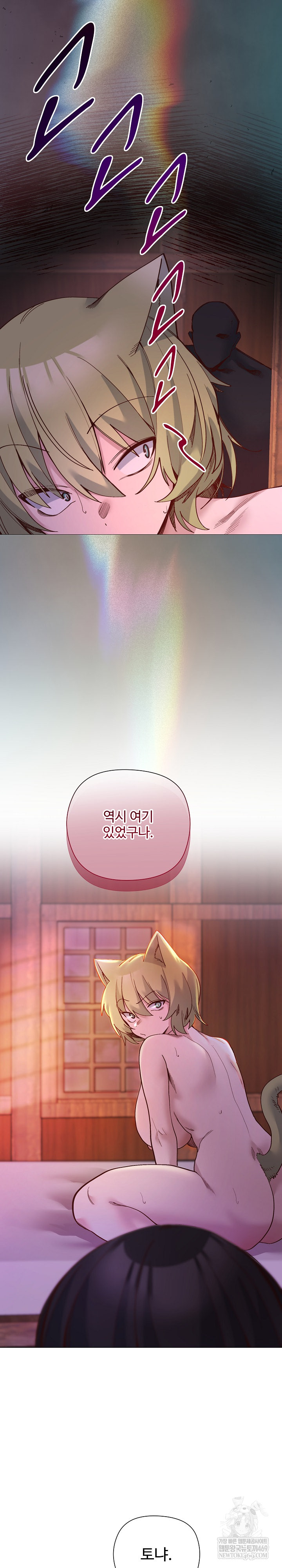 I Will Protect the Lady Raw Chapter 47 - Page 17