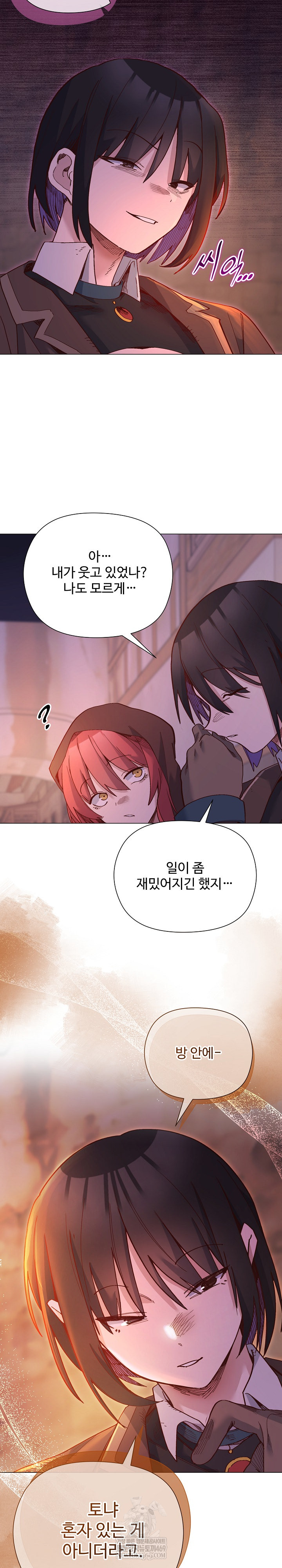 I Will Protect the Lady Raw Chapter 47 - Page 25