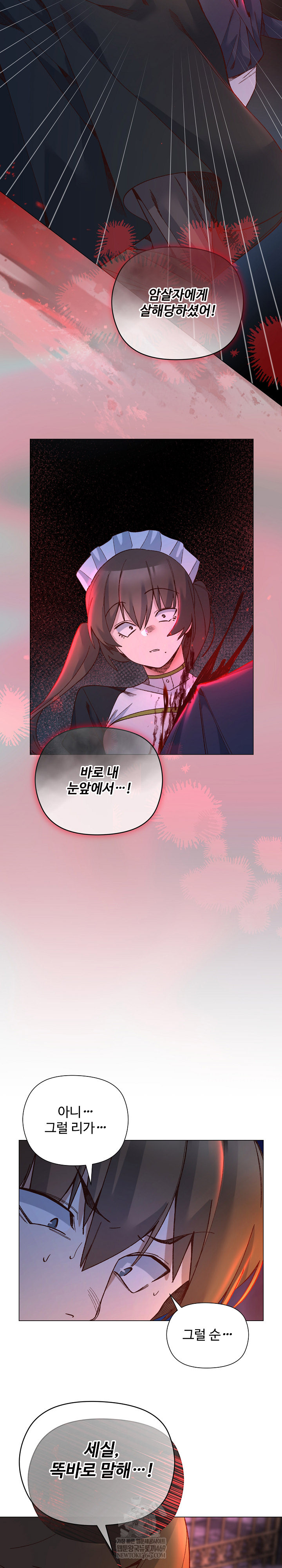 I Will Protect the Lady Raw Chapter 51 - Page 11