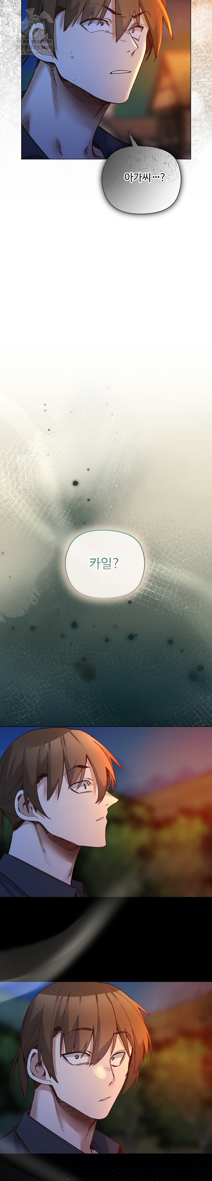 I Will Protect the Lady Raw Chapter 51 - Page 7