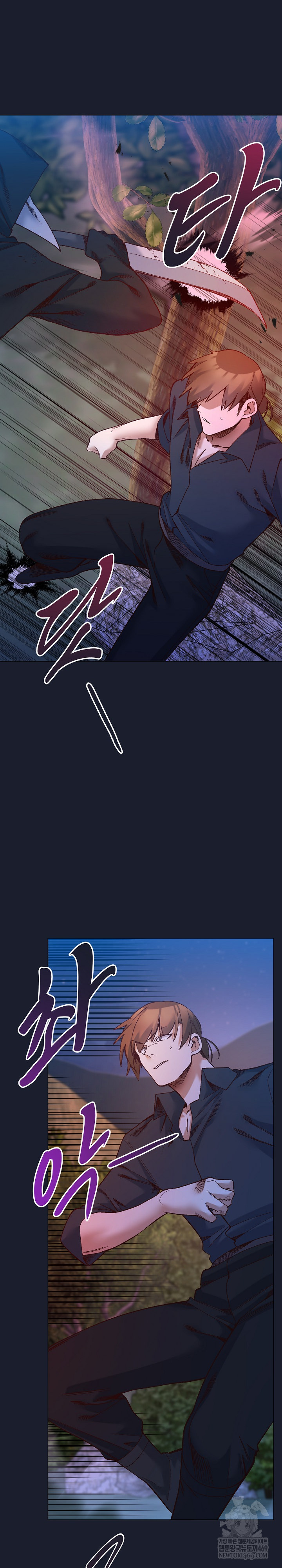 I Will Protect the Lady Raw Chapter 52 - Page 4