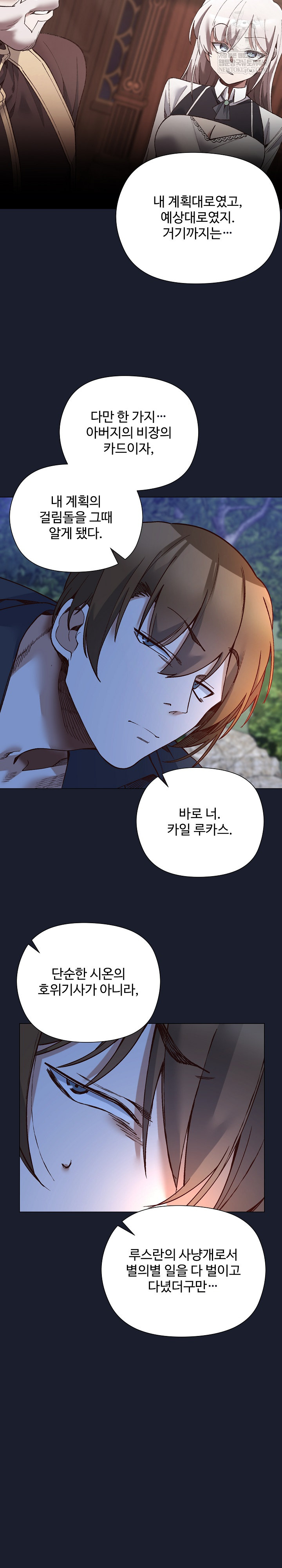 I Will Protect the Lady Raw Chapter 53 - Page 14