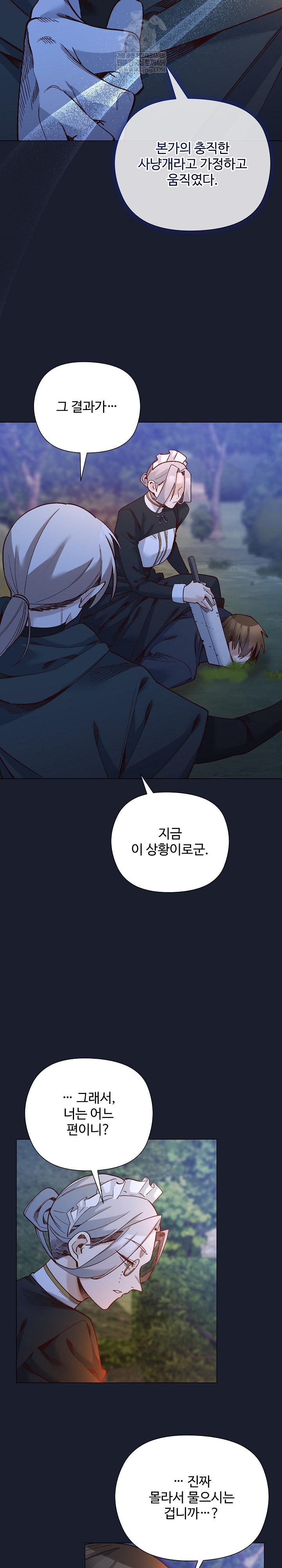 I Will Protect the Lady Raw Chapter 53 - Page 17