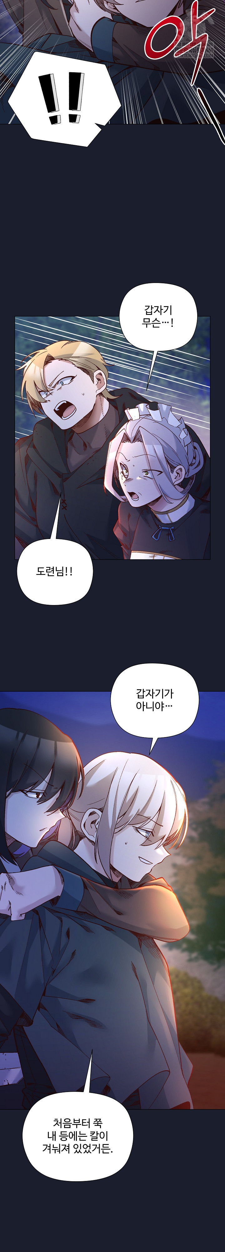 I Will Protect the Lady Raw Chapter 53 - Page 30